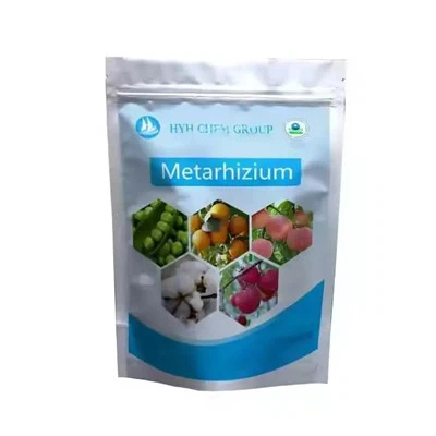 Fabriklieferant Insektizid Metarhzium Anisopliae Cas 67892-13-1 10 Milliarden cfu/g
